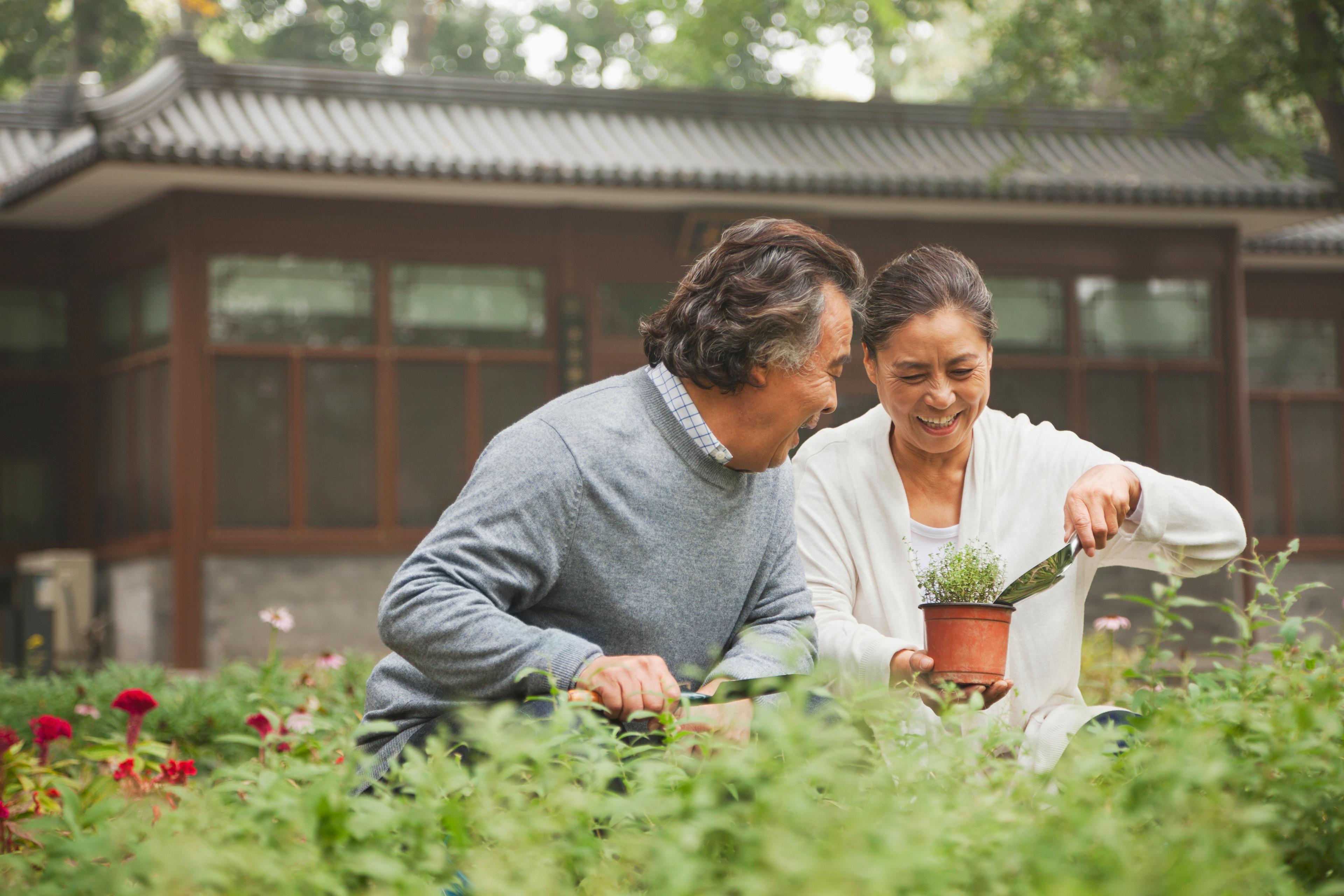 A man and a woman gardening